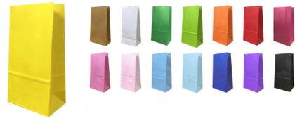 Bolsas de papel x1