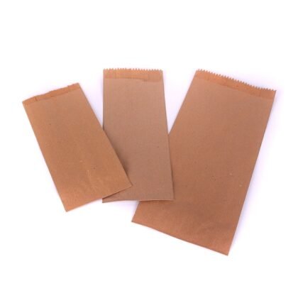 Bolsa kraft x100