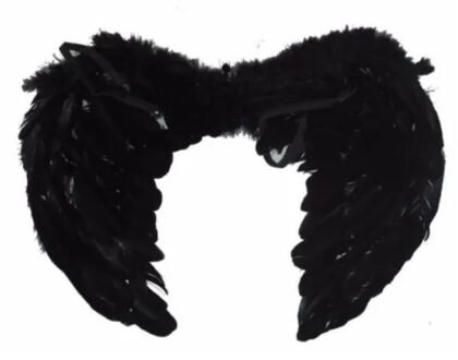 Alas de Angel negro de plumas