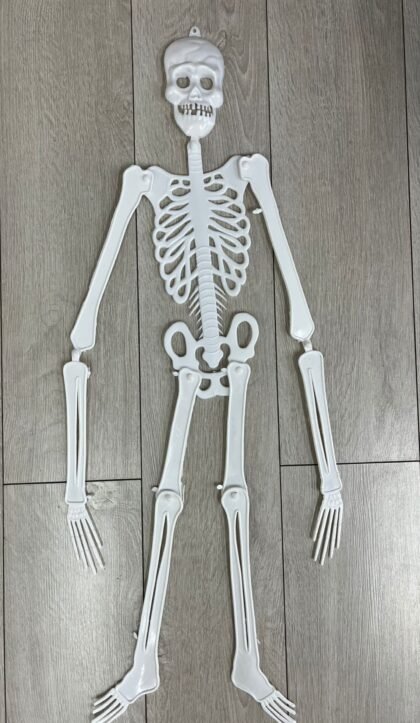 Esqueleto plastico articulado 90cm x1