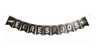 Banderin egresados