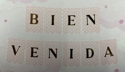 Banderin Bienvenida rosa