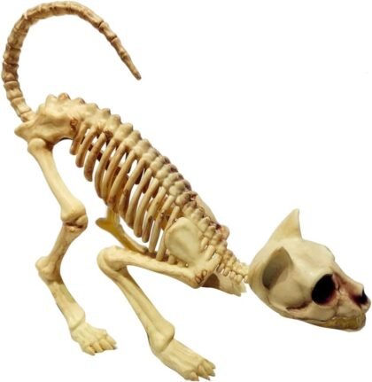 Esqueleto de Gato halloween x1
