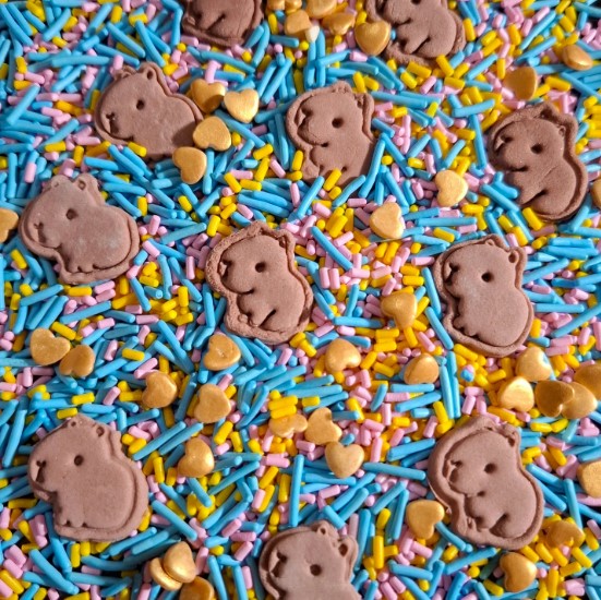 Sprinkles decorativos capibara/carpinchos holy place x100