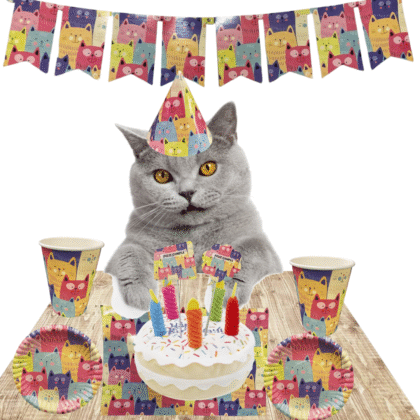 Kit de fiesta para gato