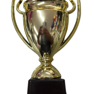 Trofeo champions metal dorado con base x1