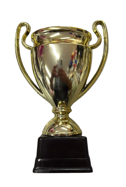 Trofeo champions metal dorado con base x1