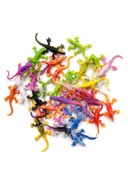 Lagartijas color x36