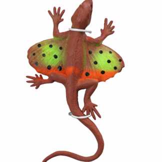 Lagarto crece con el agua x1