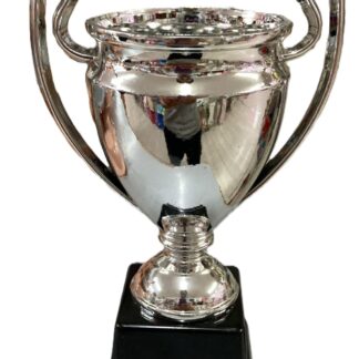 Trofeo champions metal plateado con base x1