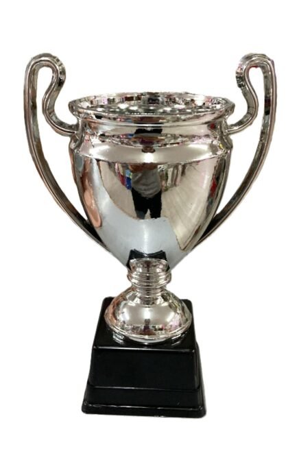 Trofeo champions metal plateado con base x1