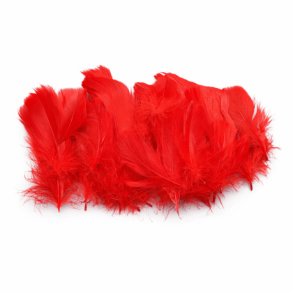 Pluma chica roja n°2 x50 aprox