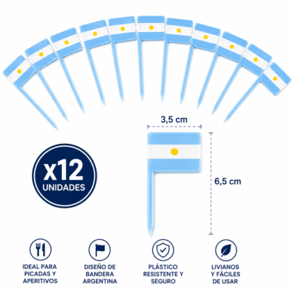 Pinche banderita argentina x12